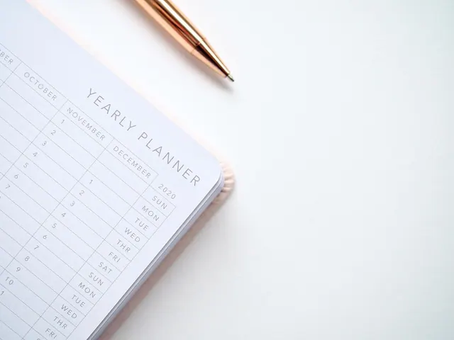 planner, 2019, year, calendar, schedule, date, february, january, annual, december, organizer, personal, weeks, designer, appointment, paper, write, plan, day, event, business, pla
